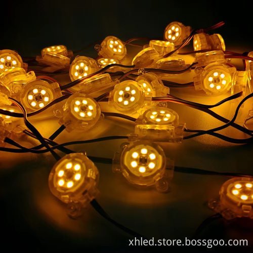Outdoor 12V RGB RGBW LED Pixel Light SMD2835 for Landscape Building Installation